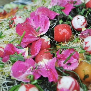 Kathy Kolibry - Salade jolie Fleurs Ciboulette Radis Graines germées